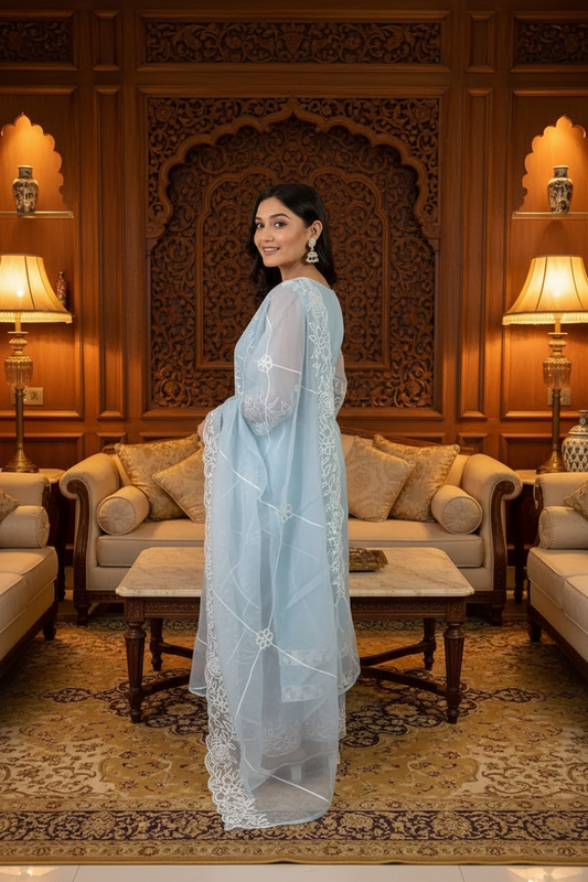 Aqua Blue Designer Kurta Set - Lifestyle